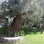 Appart hôtel Muskebi 3*