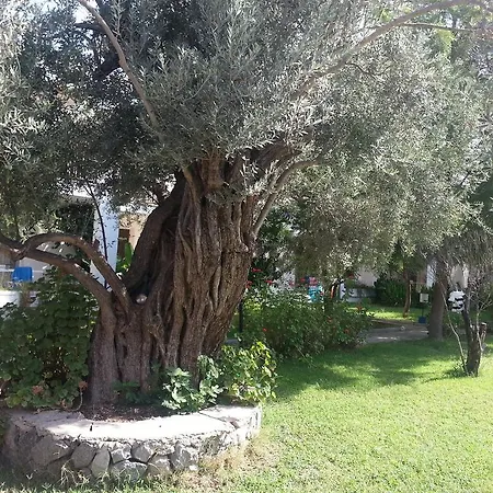 Apart Otel Muskebi 2*