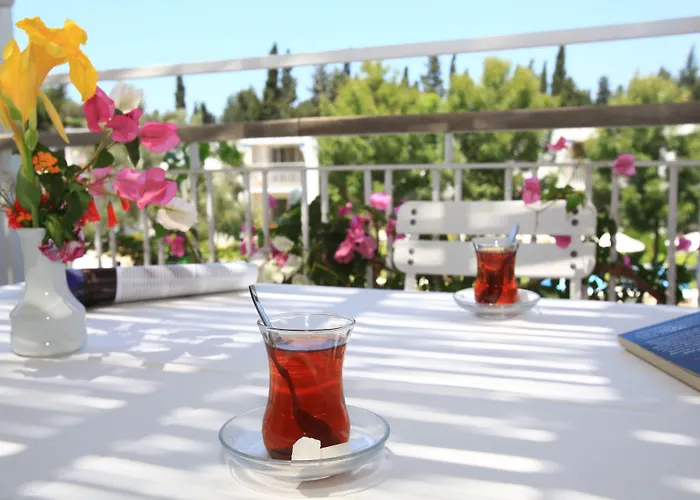 شقة فندقية Muskebi