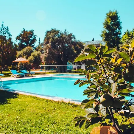 Muskebi アパートホテル