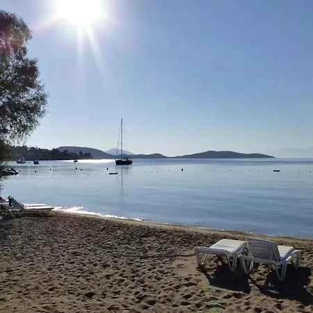 Muskebi オータキャンツ