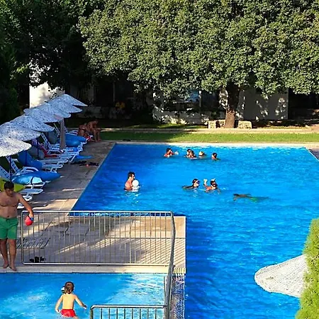 Muskebi Ortakent