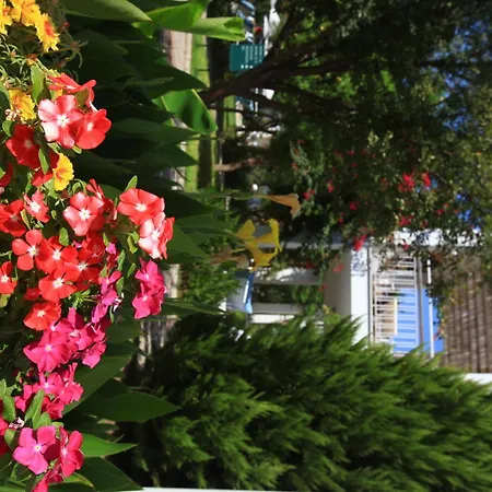 Muskebi Hotel apartamentowy Ortakent